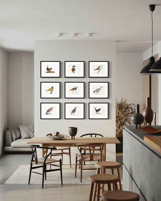 PACK 9 CUADROS AVES DEL SUR