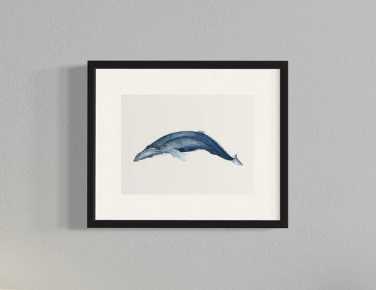 CUADRO BALLENA JOROBADA