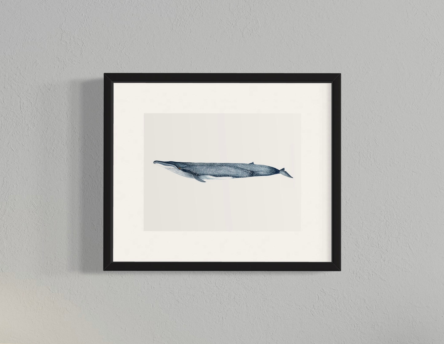 CUADRO BALLENA AZUL