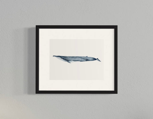 CUADRO BALLENA AZUL