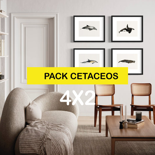 Pack Ilustraciones Cetáceos