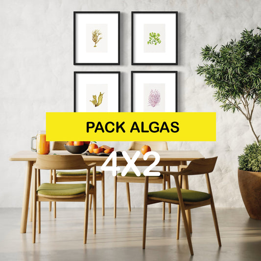 Pack Ilustraciones Algas