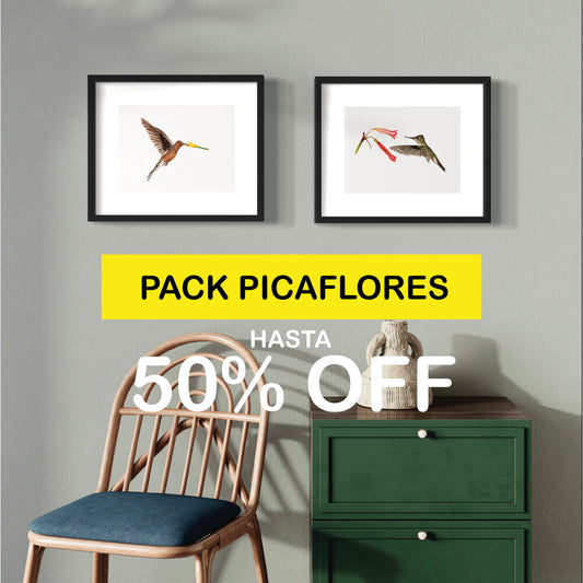 PACK Ilustraciones Picaflores