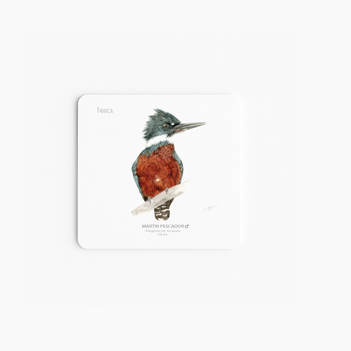 Set de 6 Posavasos Aves del Sur