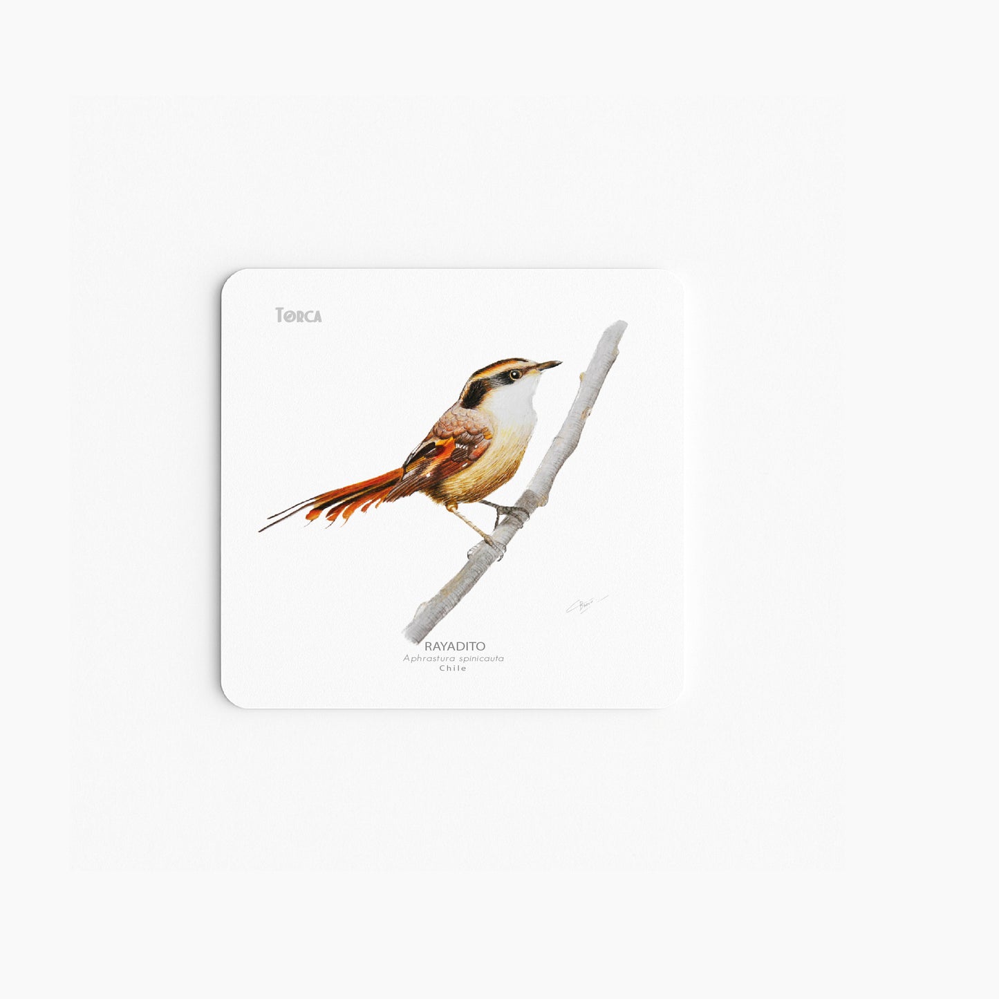 Set de 6 Posavasos Aves del Sur