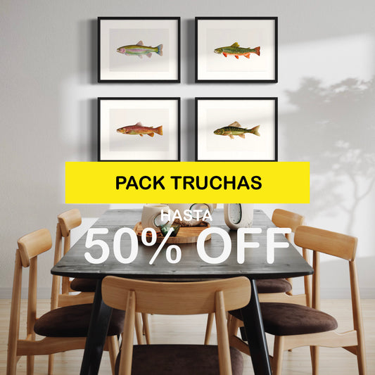 Pack Ilustraciones Truchas