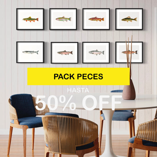 Pack Ilustraciones Peces