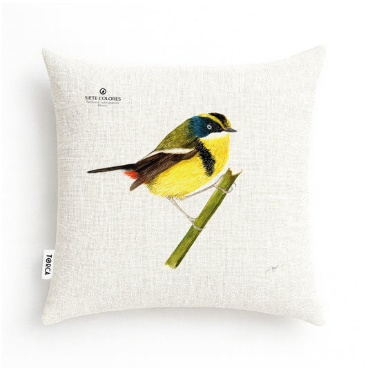 Funda cojín Siete colores