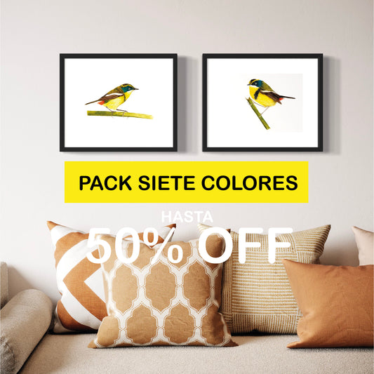 PACK Ilustraciones Siete colores