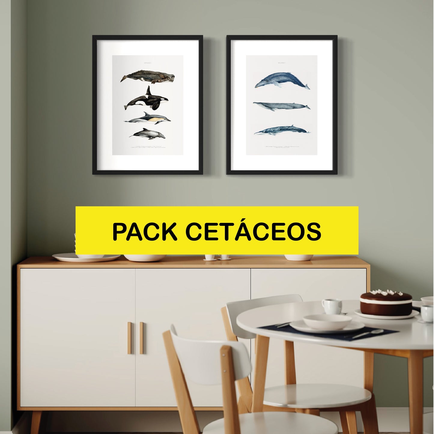 PACK Ilustraciones Cetáceos