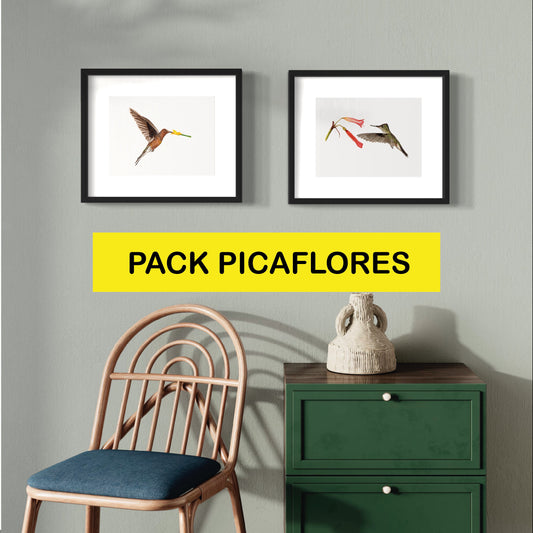 PACK Ilustraciones Picaflores