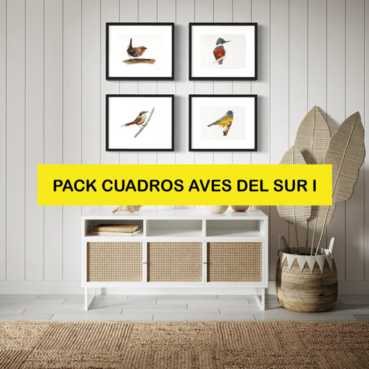 Pack Ilustraciones Aves del Sur I
