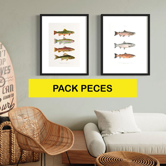 PACK Ilustraciones Peces