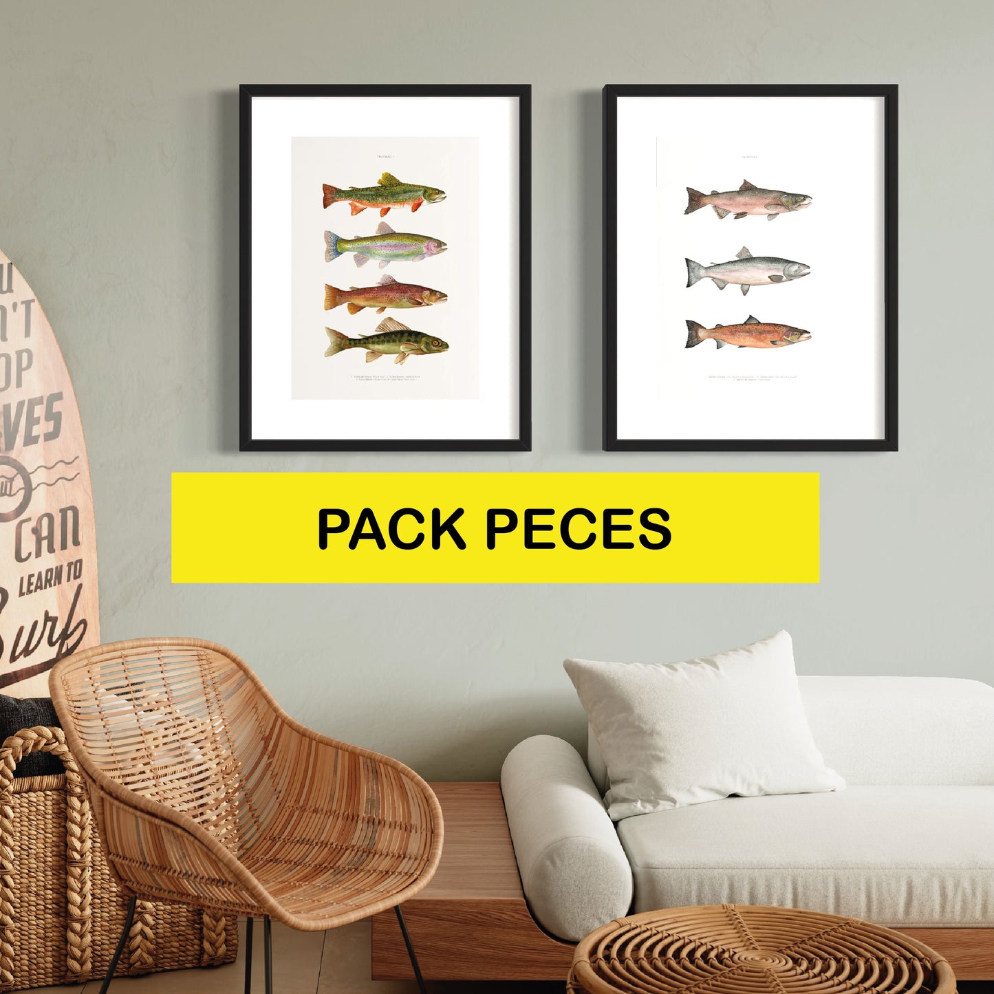 PACK Ilustraciones Peces