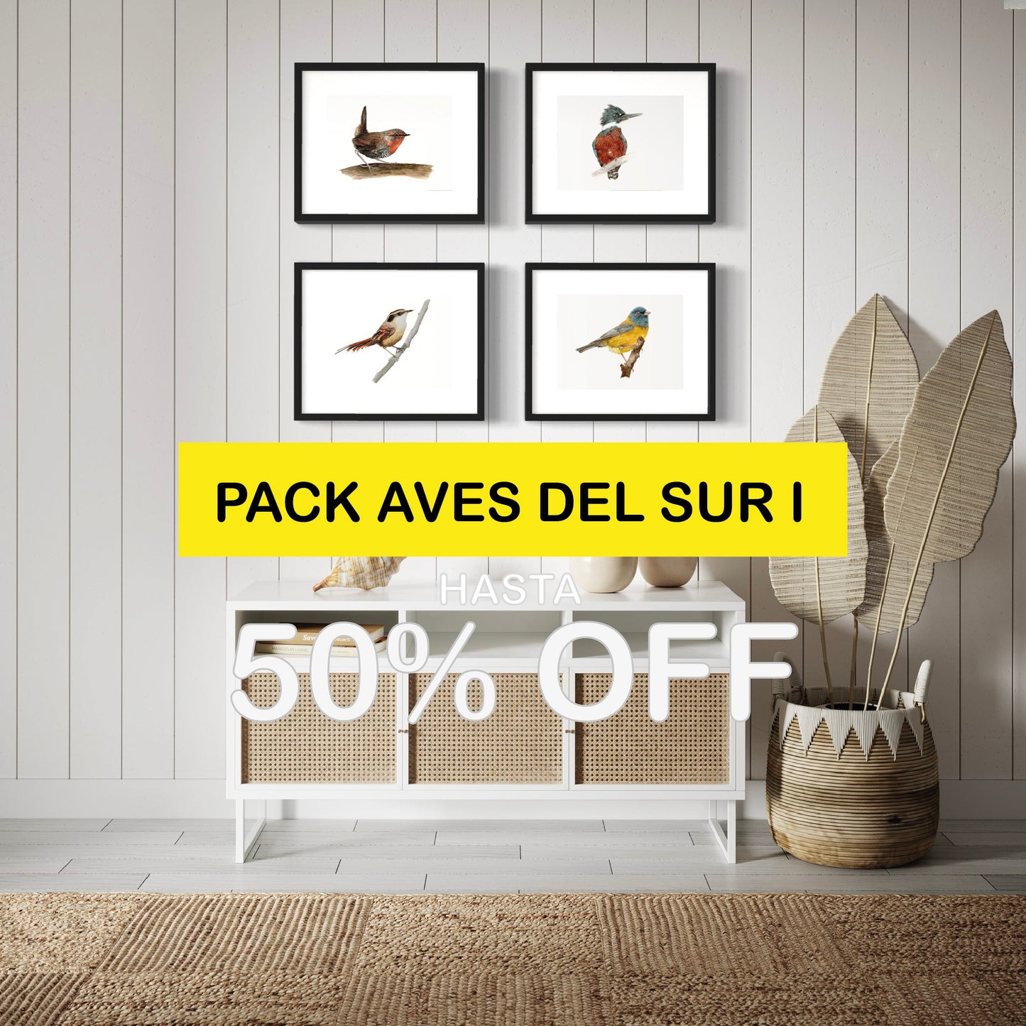 Pack Ilustraciones Aves del Sur I