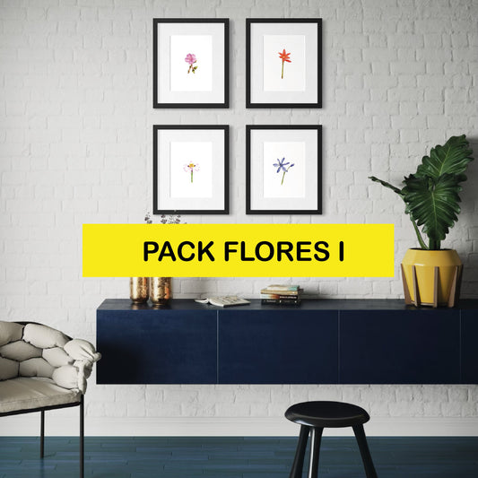 Pack Ilustraciones Flores