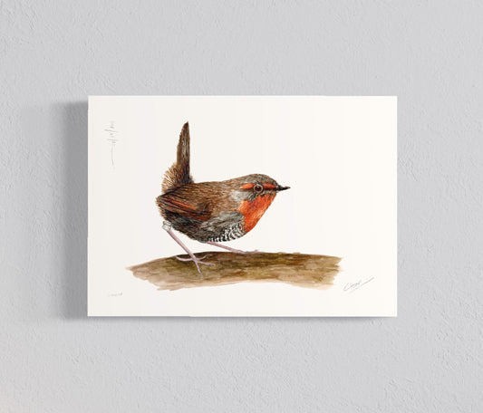 Ilustración Chucao