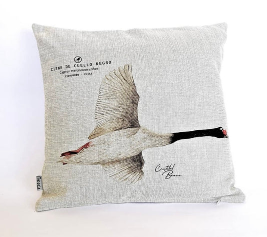 Funda cojín Cisne de cuello negro