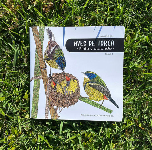 Libro Pinta y Aprende