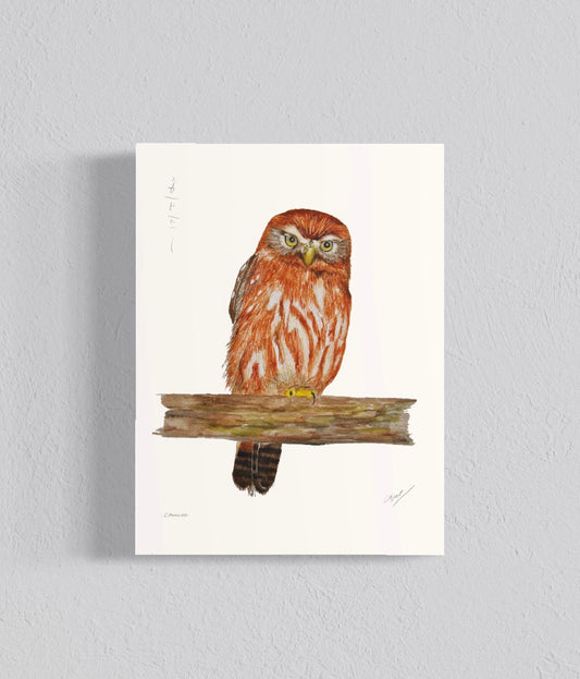 Ilustración Chuncho