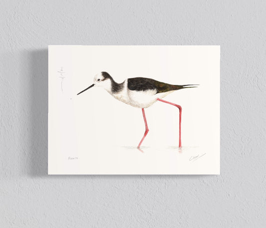 Ilustración Perrito